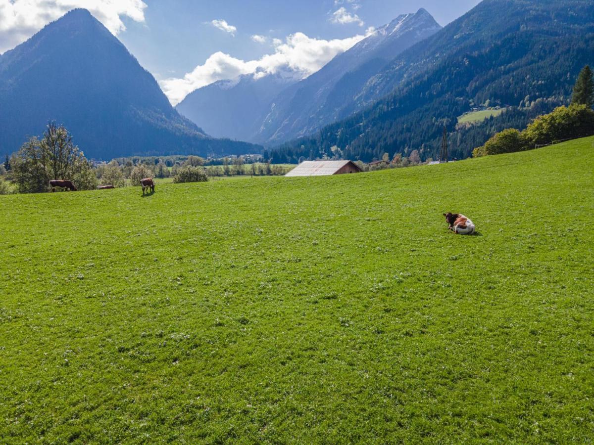 Landhaus Hotter 26 Neukirchen am Großvenediger 外观 照片